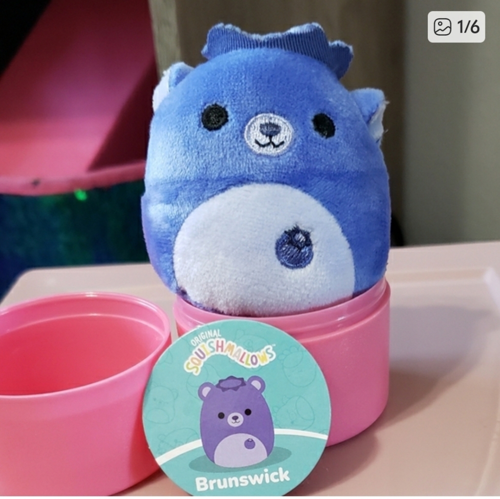 Brunswick The Blueberry 🫐 Bear 🐻 2" Squishmallow Plush NEW WITH TAGS
